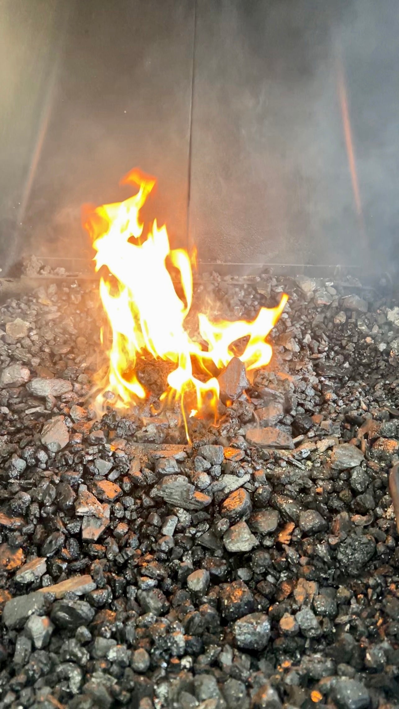 50lb Blacksmith Coal