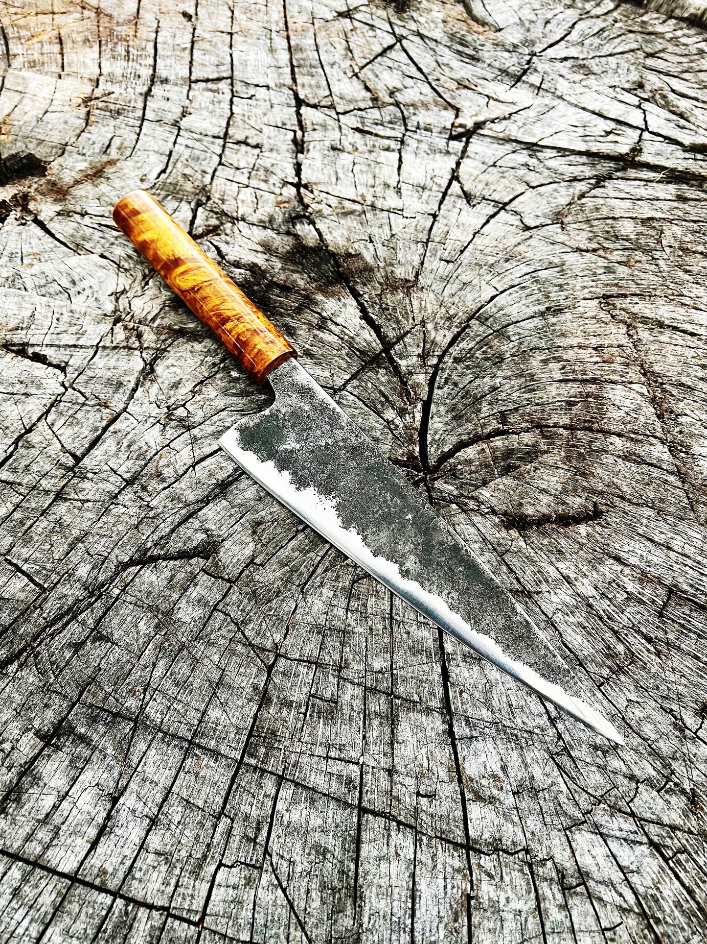 Forged High Carbon Gyuto