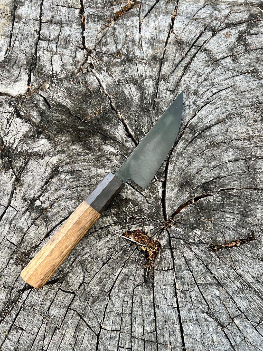 High Carbon Paring Knife