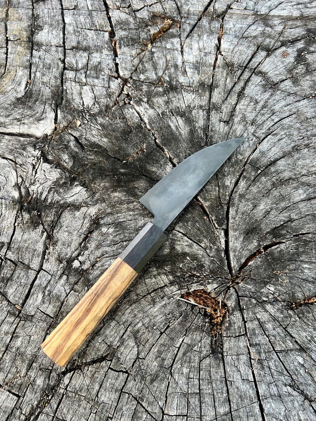 High Carbon Paring Knife