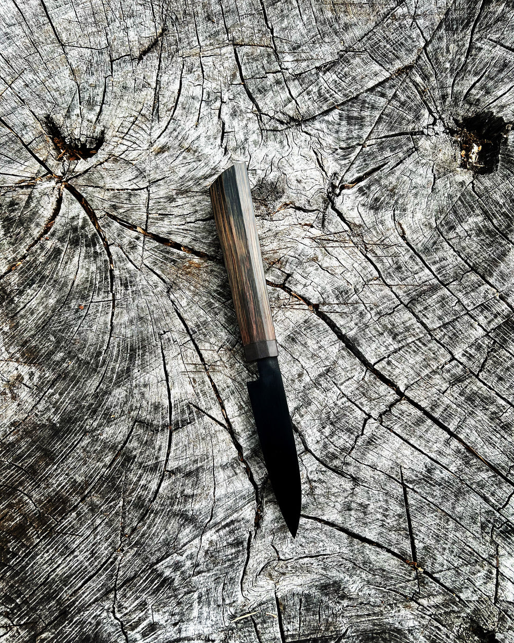 Ancient Bog Oak High Carbon Paring Knife